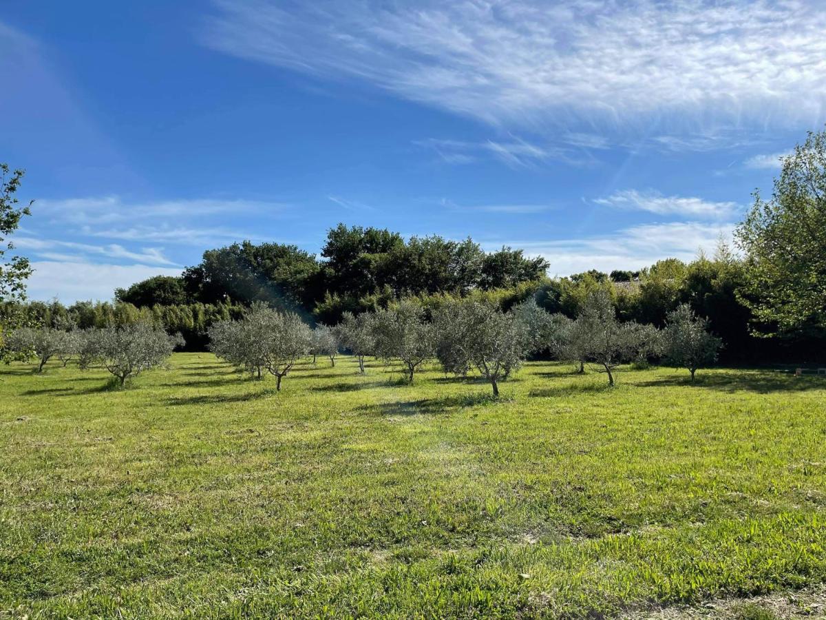 Appartement de charme Sud Luberon classé 4 étoiles Puyvert Extérieur photo